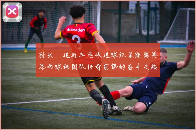 孙兴慜追赶车范根进球纪录距离再添两球韩国队传奇前锋的奋斗之路